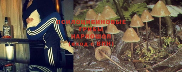 бошки Осташков