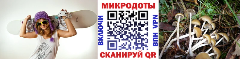 mega маркетплейс  купить наркотики сайты  Красновишерск  Псилоцибиновые грибы Psilocybe 